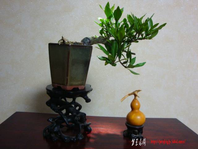 DSC05303.JPG