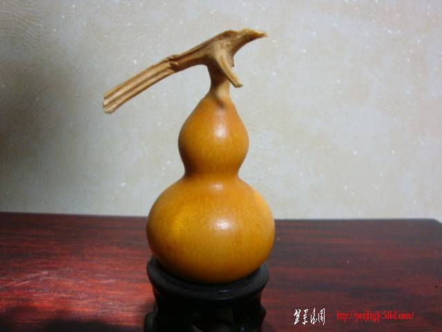 DSC05306.JPG