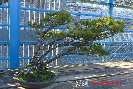 ap_F23_20110601115649660.jpg