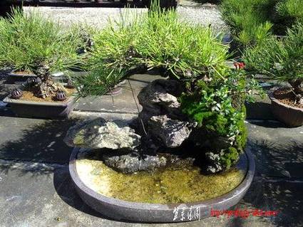 ap_F23_20100911120205889.jpg