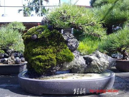 ap_F23_20100911120210643.jpg