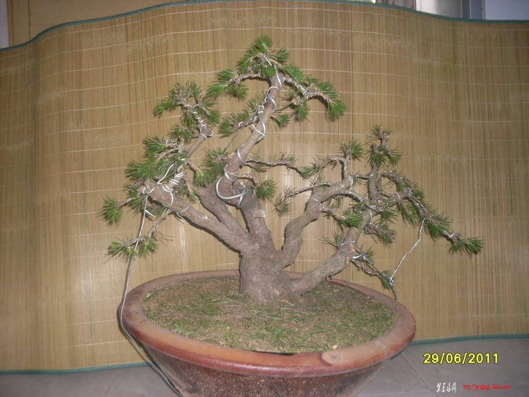 SDC10702.JPG