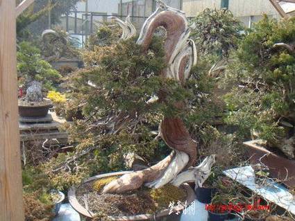 ap_F23_20100407113244605.jpg