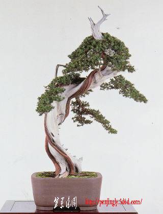 23meif-mizutori-kazuo.jpg