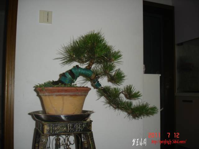DSC01584.JPG