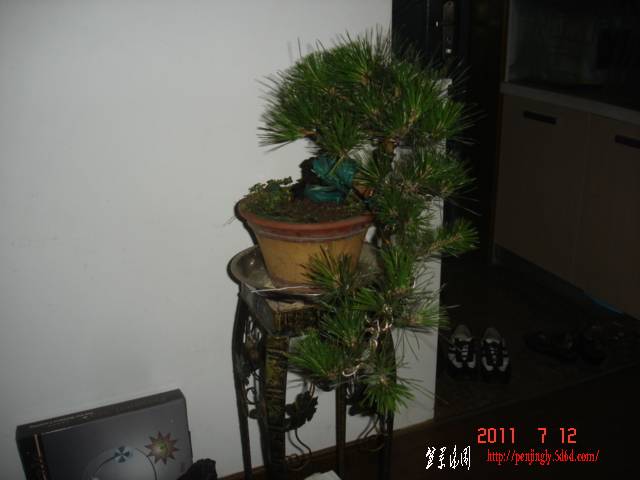DSC01593.JPG