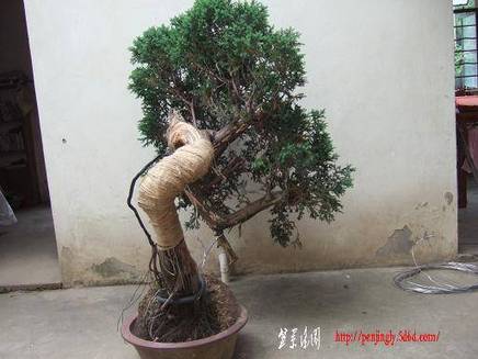 DSCF5825.JPG