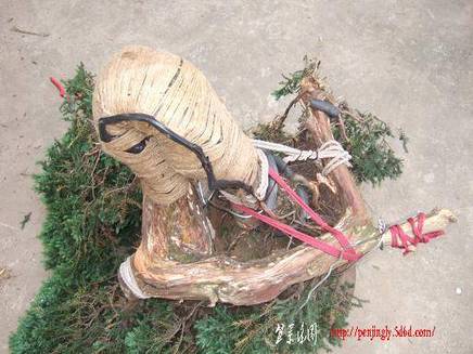 DSCF5838.JPG