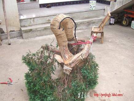 DSCF5832.JPG