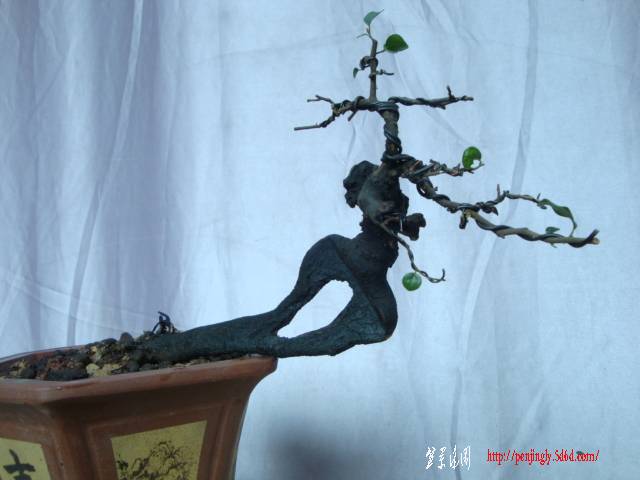 DSC04660.JPG