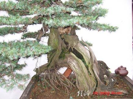 DSCF5878.JPG