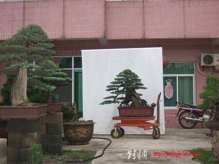 DSCF5874.JPG