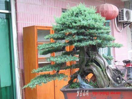 DSCF5871.JPG