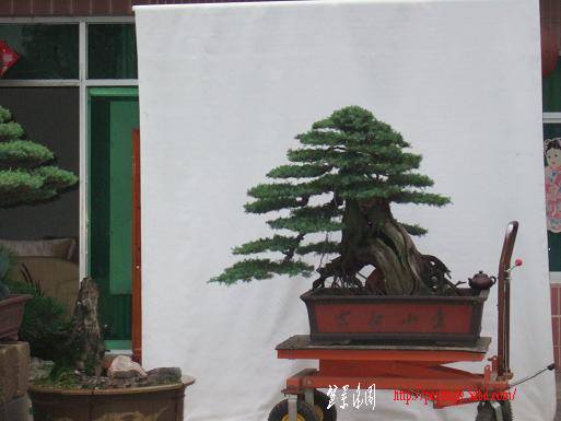 DSCF5875.JPG
