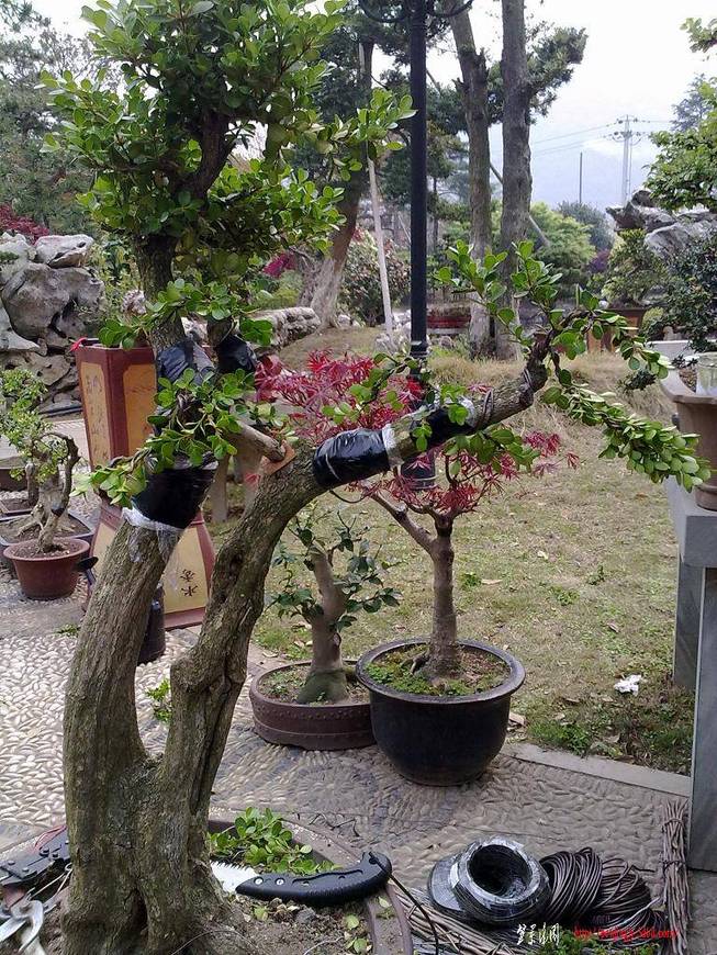 20110414153.jpg