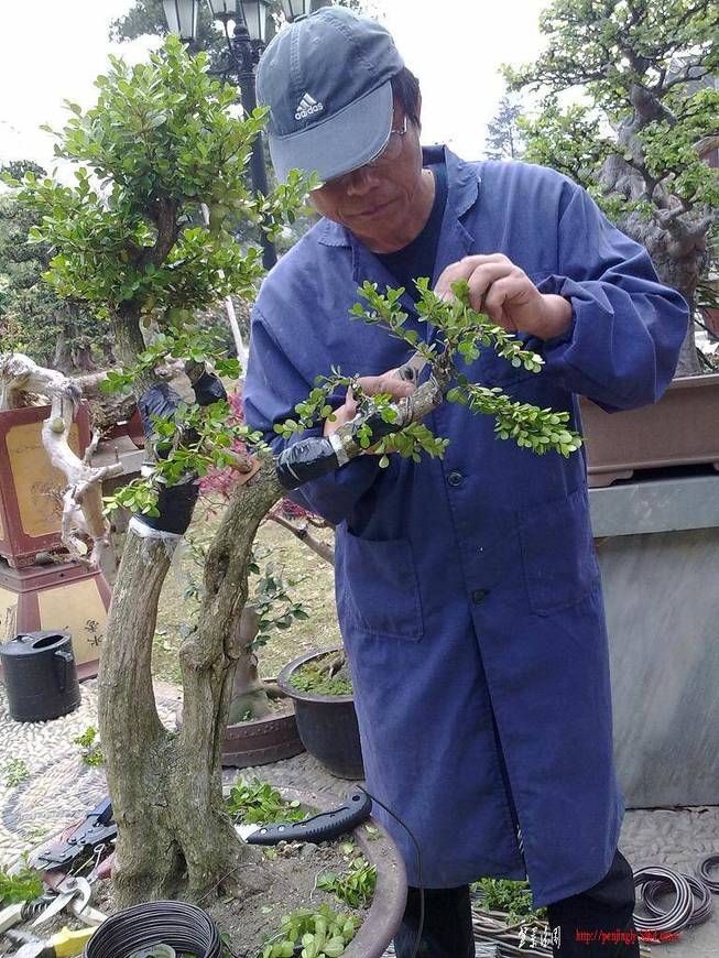 20110414152.jpg