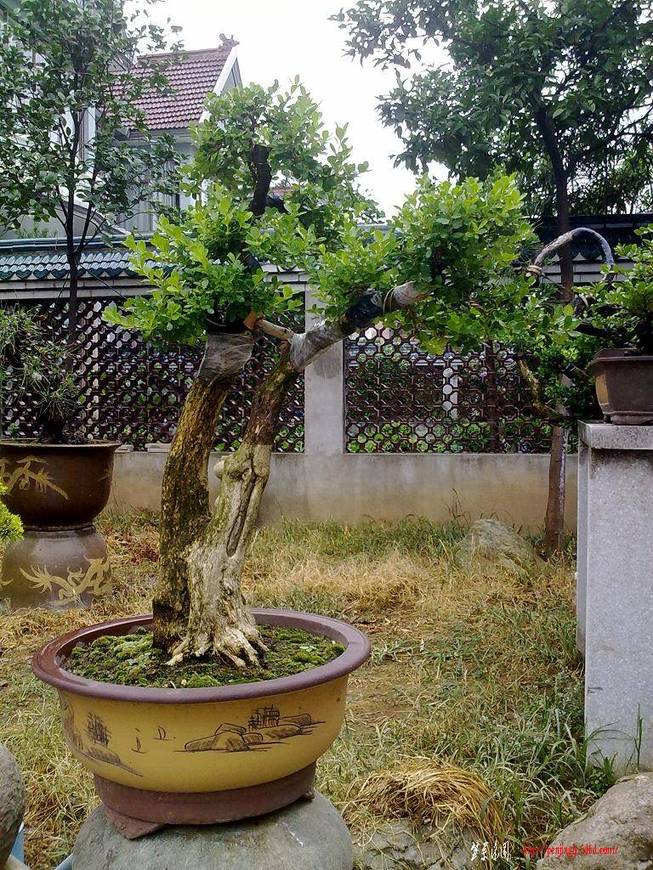 20110715268.jpg