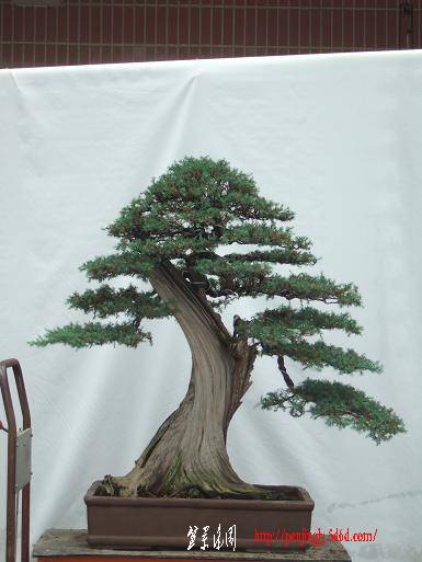 DSCF5860.JPG