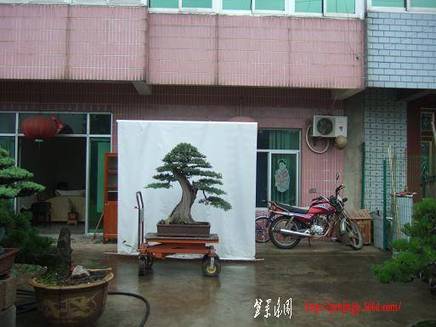 DSCF5856.JPG