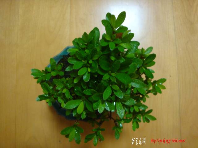 DSC05342.JPG