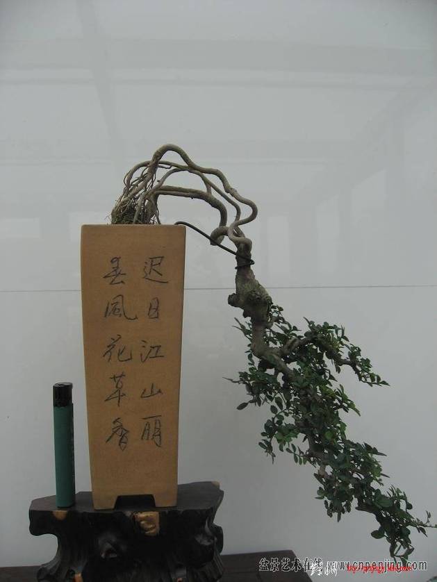 152342klcol383tctl8kdh.jpg