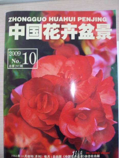 jj 001 - .JPG