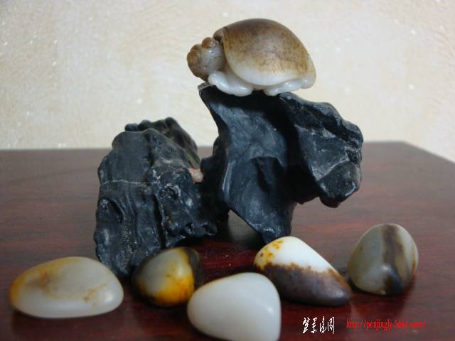 DSC05418.JPG