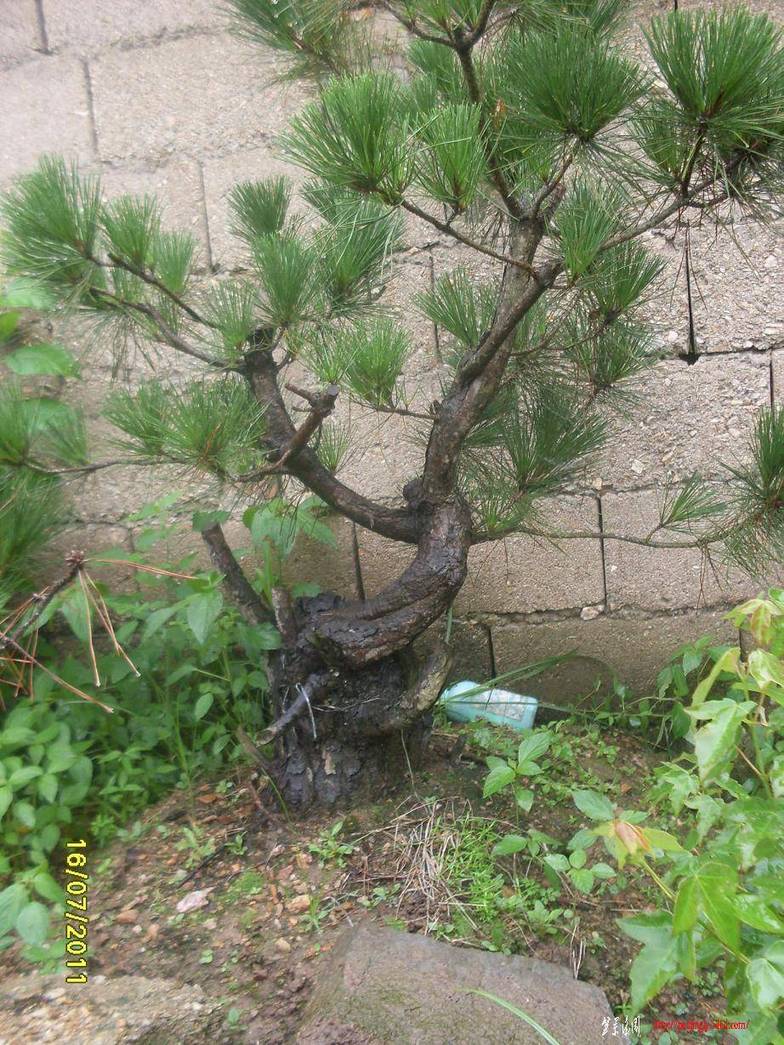 SDC10947.JPG
