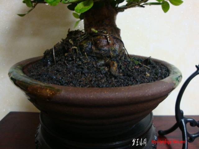 DSC05436.JPG
