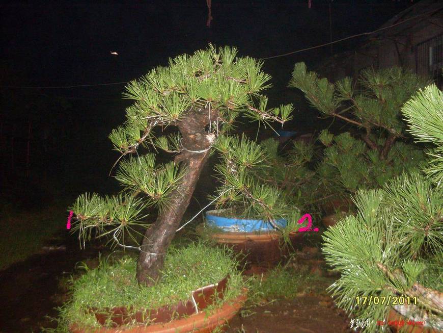 SDC10961.JPG