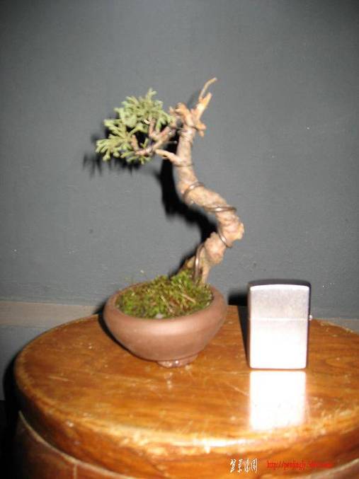 Ƭ 078.jpg