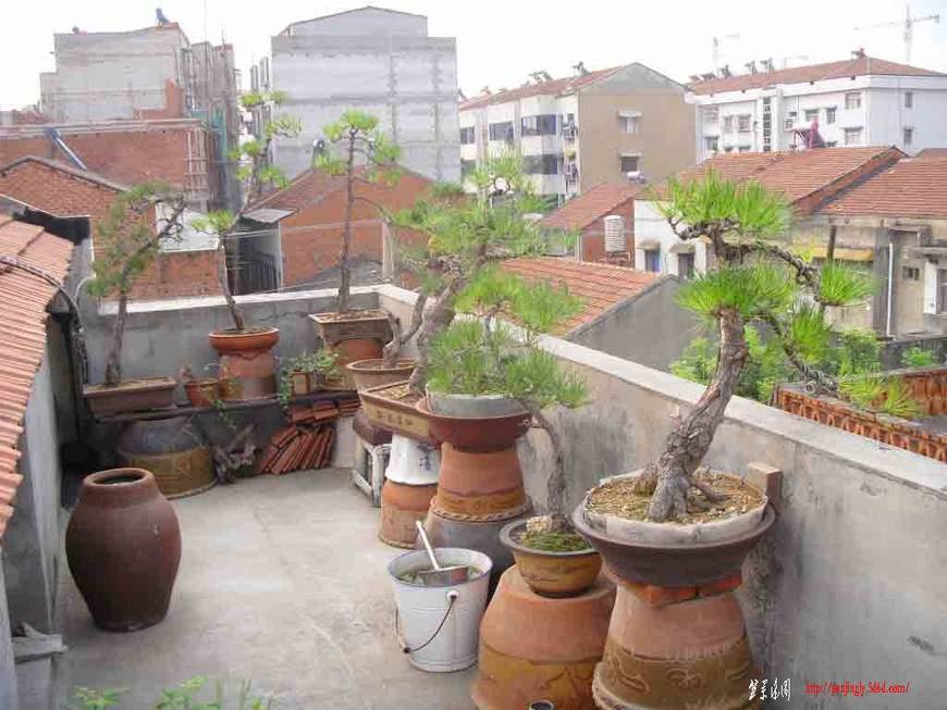 SDC12201.JPG