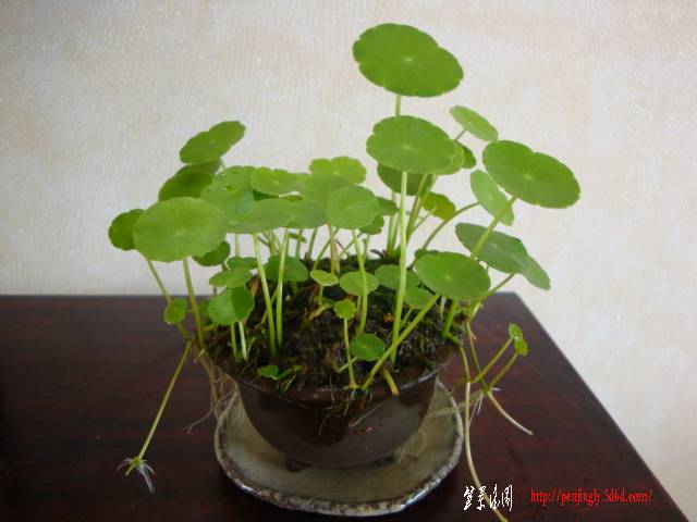 DSC05449.JPG