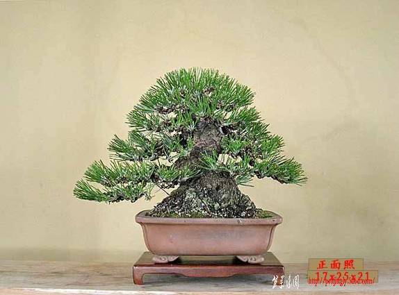 g10334a.jpg