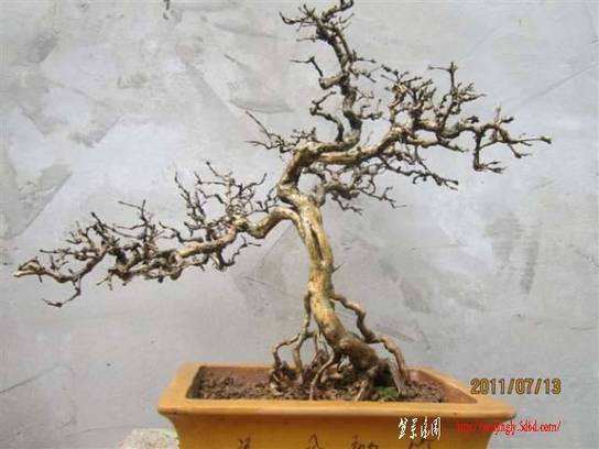 fgdft5466546 (1).jpg