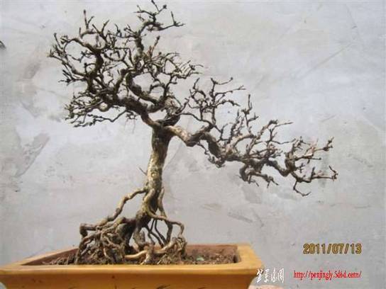 fgterty546546 (1).jpg