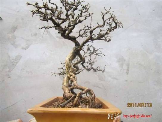 rtret45654645 (1).jpg