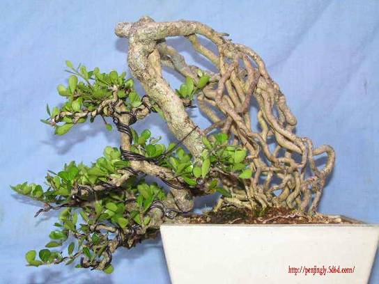 PICT0027.jpg
