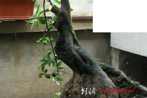 1107252123cfd5f2d9f743caf6.jpg