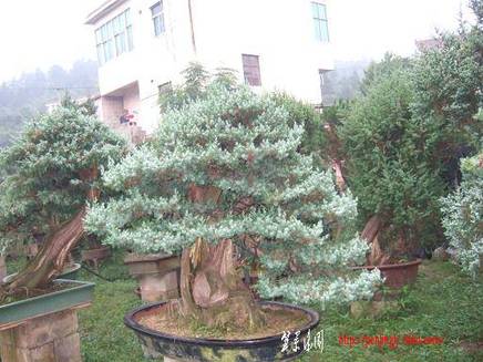 DSCF5946.JPG