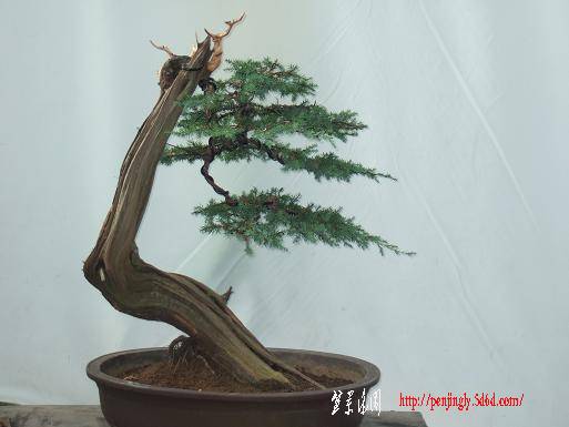 DSCF5938.JPG