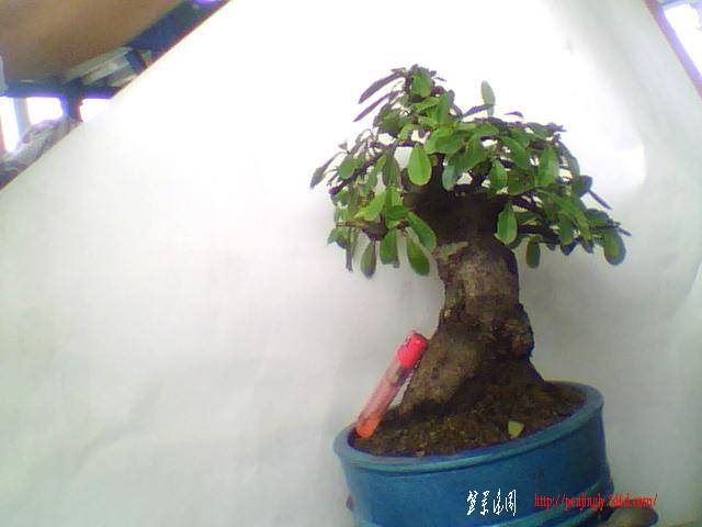 ͼƬ 002.jpg