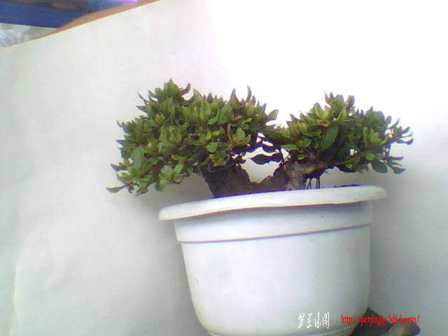 ͼƬ 003.jpg