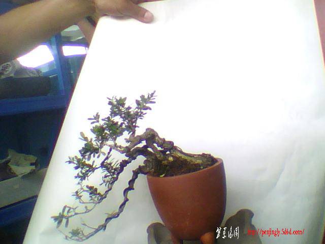 ͼƬ 004.jpg