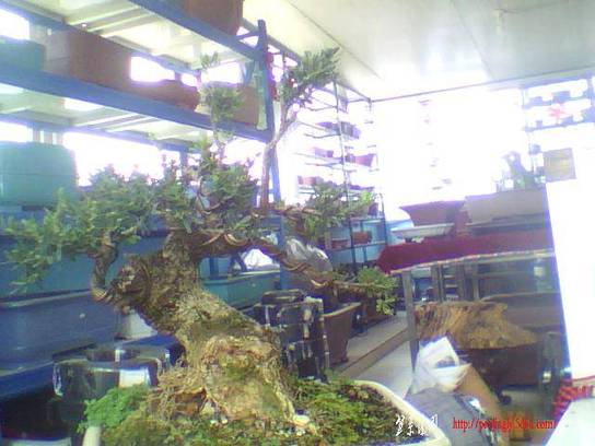 ͼƬ 005.jpg