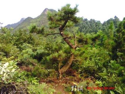 IMG0157A.jpg
