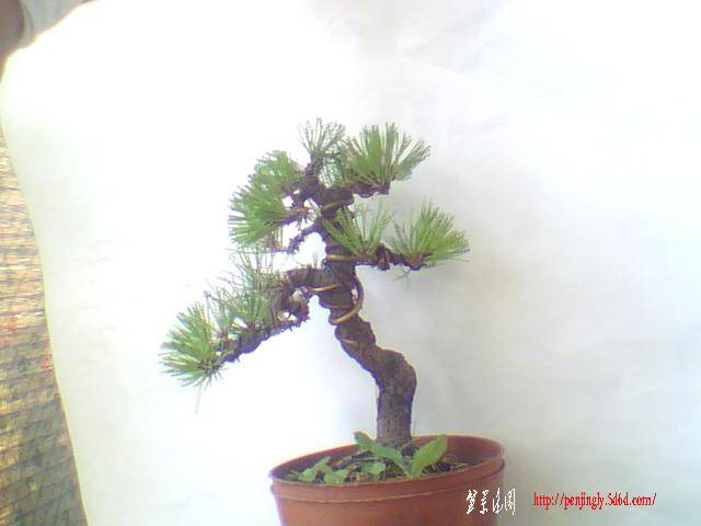 ͼƬ 011.jpg
