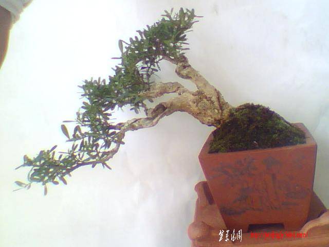 ͼƬ 012.jpg