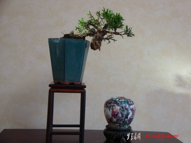 DSC05052.JPG