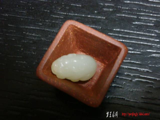 DSC05513.JPG